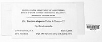 Image Associated With the Occurence